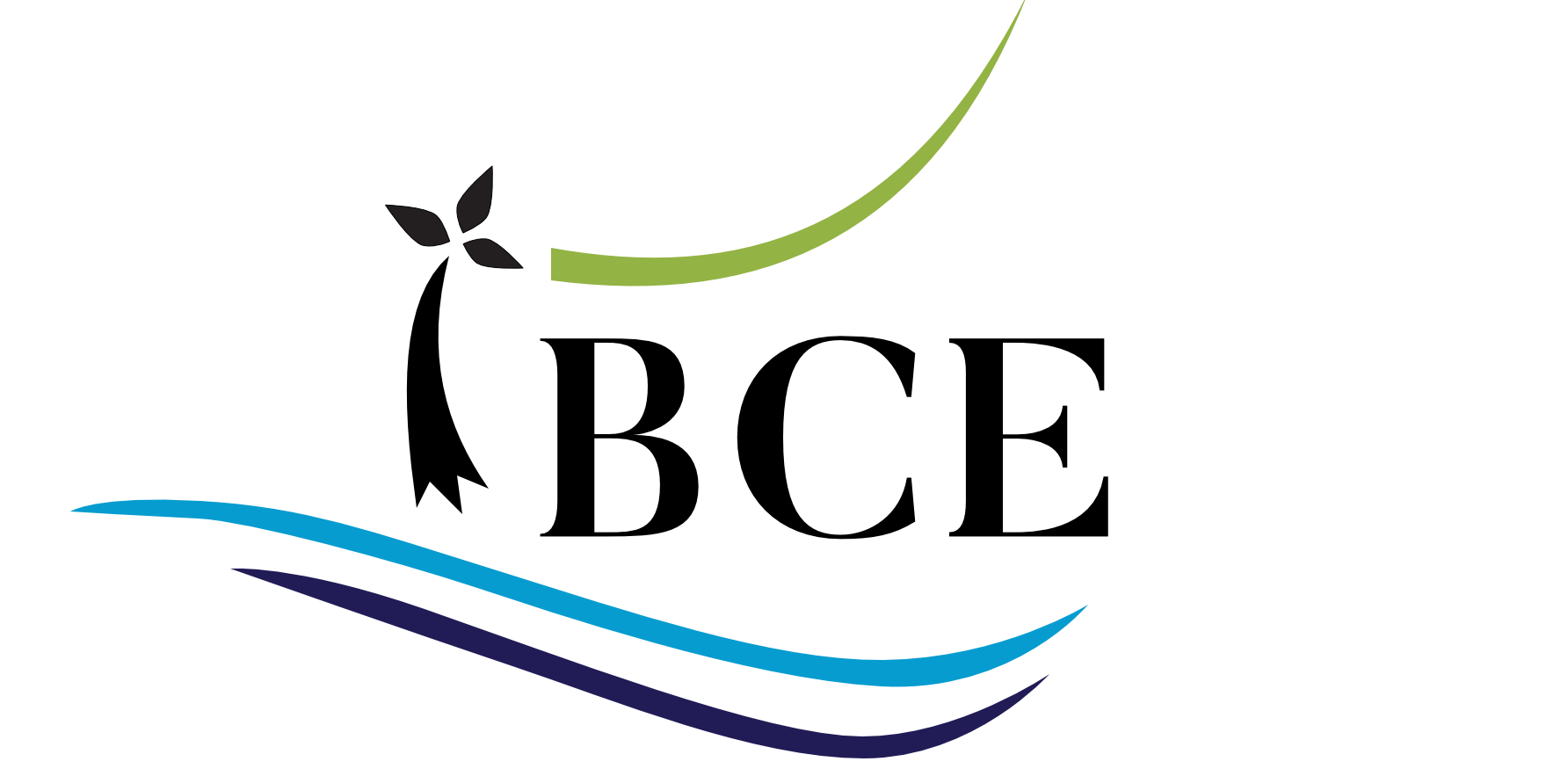 Logo Breizh Conseil Expertise